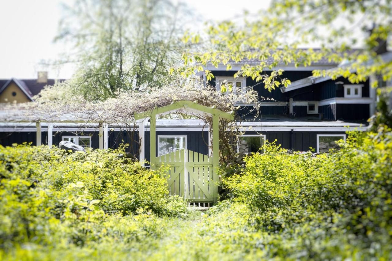Brinkly Snekkersten